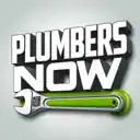 Logótipo Plumbers Now